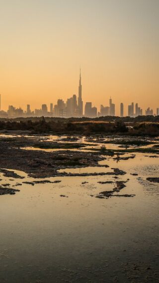 We didn't expect that the UAE was such a great hiking destination! 🥾

Getting stuck here on our overland expedition for over a month allowed us to explore every corner of the country. 

We expected high rise buildings, fancy cars and expensive coffees. Sure, there's plenty of that as well. But there is so much more! Lots of mountain trails and wadis to explore 🫶 and AWESOME for overlanding. You can pitch up your tent anywhere and the weather in winter is just perfect. 

What is your favorite country for hiking?

#overlandjournal #hikingdestinations #uae #uae🇦🇪 #uaehiking #hikinguae #dubaitravel #uaetravel