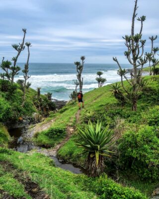Take a walk on the wild side 🌊

That’s exactly what we’re doing here @ South Africa’s Wild Coast 🇿🇦

Endless green hills roll into the ocean. Cows roam the beaches (which we found very surprising, I mean have you ever seen cows chilling on the beach?!). Huge waves crash into the cliffs. Xhosa villages dot the hills and the kids wave as you walk by.

Add in a multi-day power outage, a raging storm, nights lit only by headlamp and a cabin filled with massive rain spiders.. We got a bit of adventure. 🕷️ Especially Charelle is not a big fan of spiders, but luckily Marcel stayed up all night to clear the room 😂

It’s the kind of place where nature rules and you learn to roll with it. And the hiking here is absolutely next level. Trails wind along dramatic coastlines and wild ocean views. 

Luckily on our last day here we got a bit of sunshine (photo 5) ☀️

Would you go here? What's the wildest place you've ever been?

#southafrica🇿🇦 #visitsouthafrica #southafricatravel #travelsouthafrica #wildcoast #meetsouthafrica